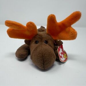 TY Beanie Baby Chocolate the Moose 1993